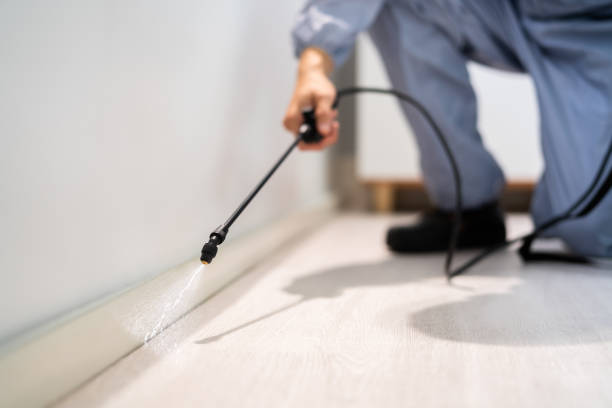 Bed Bug Pre-Treatment Preparation Assessment in Connell