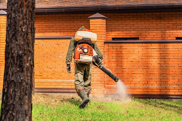 Bed Bug Clearance Verification and Documentation in Connell